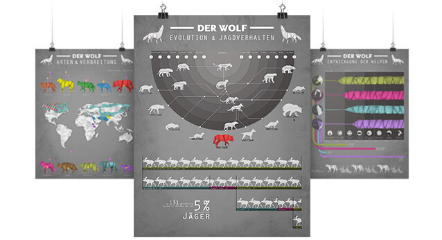 Infografik zum Wolf in Deutschland