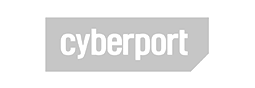 Webdesign Referenz - Erfolgreiche Website Umsetzung