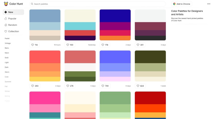 screenshot colorhunt 04