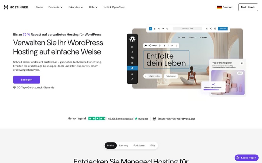 Hostinger WordPress Hosting - LiteSpeed-Server und KI-Tools
