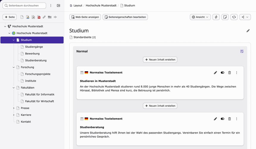 So sieht TYPO3 im Backend aus TYPO3-Backend mit Seitenbaum einer Hochschule und Inhaltselementen im Seitenmodul